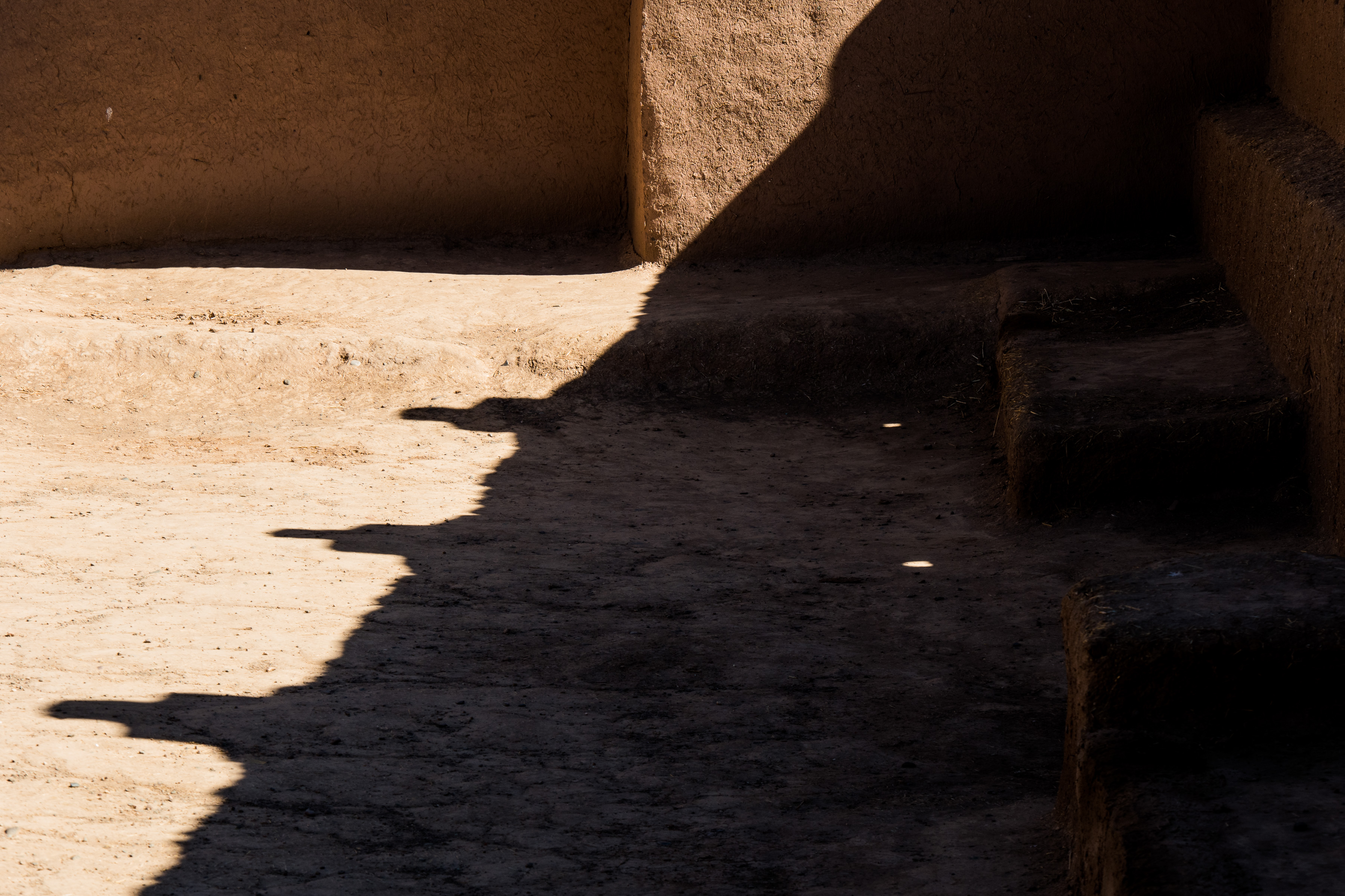 Marokko, Skoura, Kasbah Amridil 2019